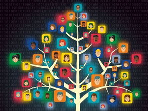 網(wǎng)絡(luò)營(yíng)銷(xiāo)策劃 如何根據(jù)崗位職級(jí)精準(zhǔn)賦能與分工